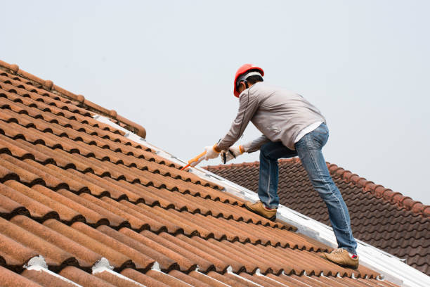 Professional Roofing service in Carterville, MO